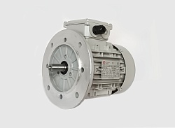 Электродвигатель АИС90S-8 0.37kW F IP55 V220/380/50