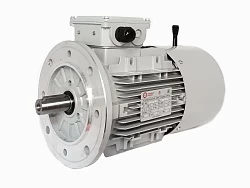 Электродвигатель АИС80B-6-Е 0.55kW F IP55 V220/380/50