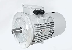Электродвигатель АИС160M-4-Е 11kW F IP55 V380/660/50