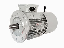 Электродвигатель АИС90L-8-Е 0.55kW F IP55 V220/380/50